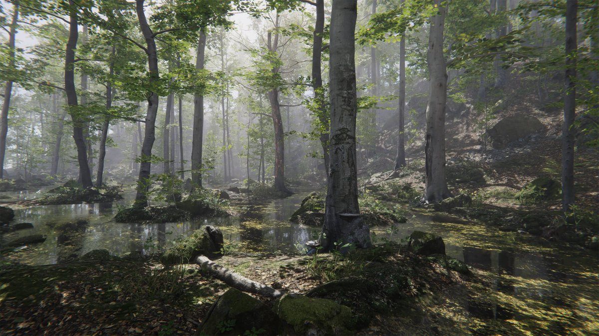ÇED ve Proje Tanıtım Dosyası Hazırlanması