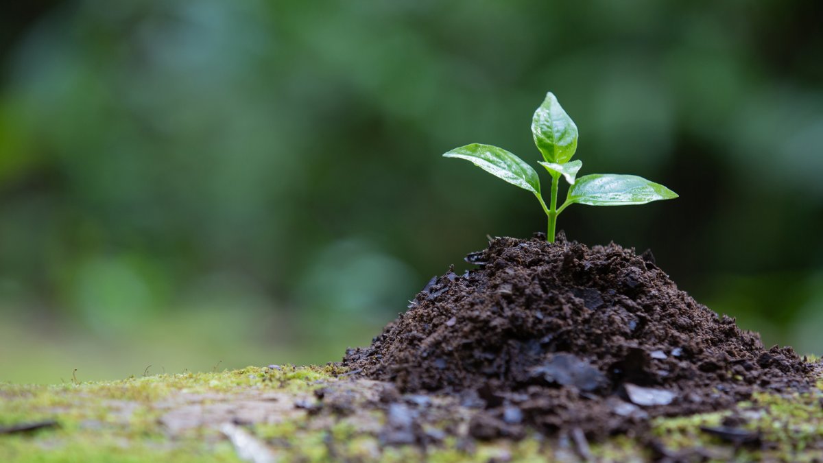 Çevre Yönetim Hizmetleri