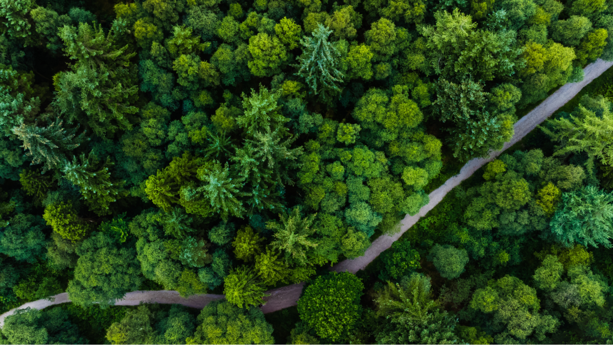 Karbon ve Su Ayak İzi Hesaplama