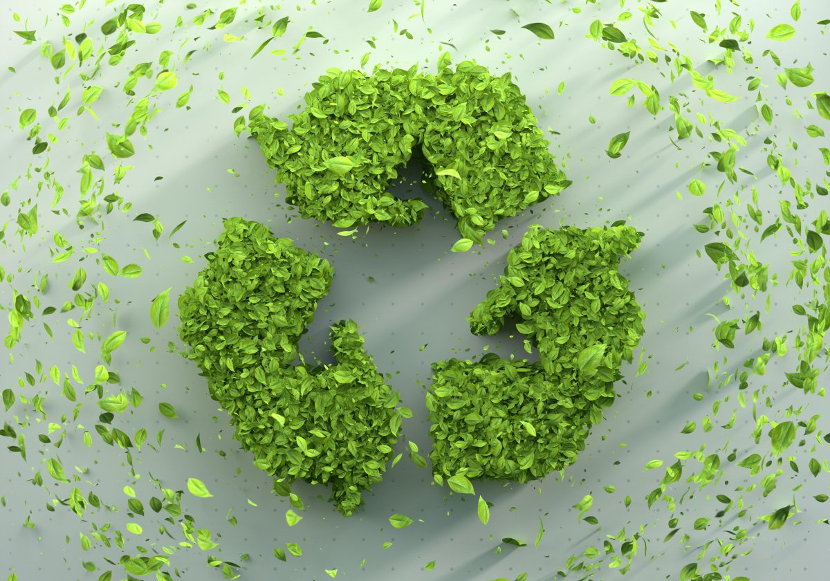 Sıfır Atık Danışmanlığı