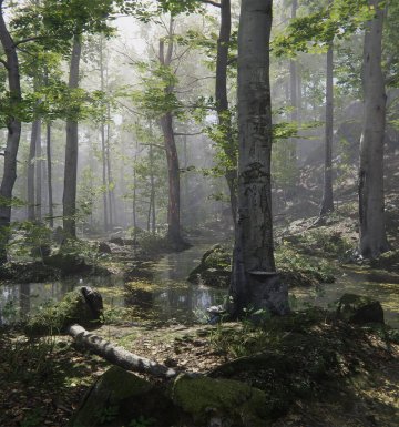 ÇED ve Proje Tanıtım Dosyası Hazırlanması