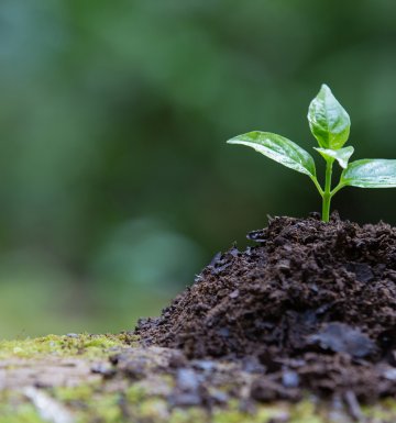 Çevre Yönetim Hizmetleri