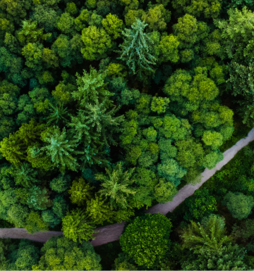 Karbon ve Su Ayak İzi Hesaplama
