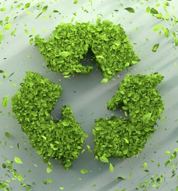 Sıfır Atık Danışmanlığı