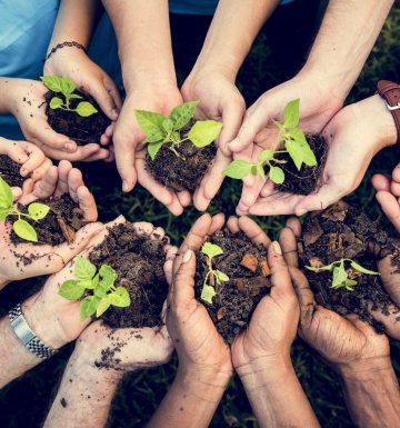 Yönetim Sistemleri Danışmanlığı
